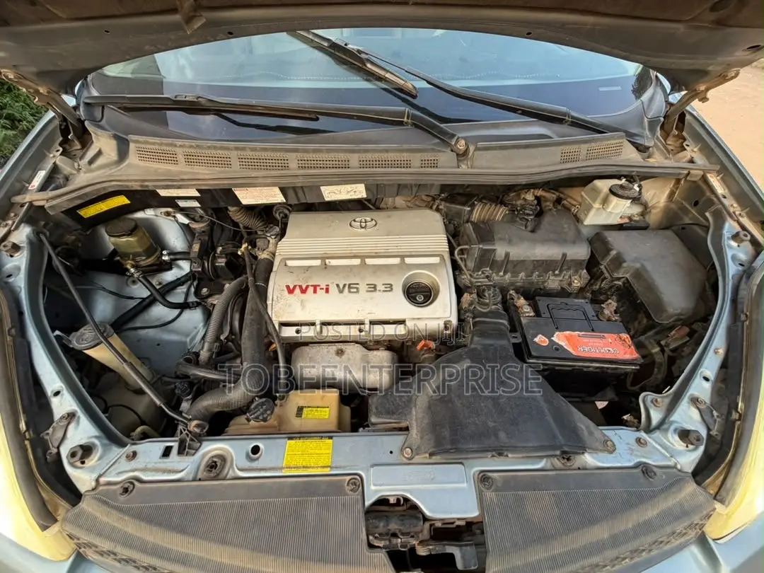 Toyota Sienna 2007 Gray