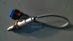 Oxygen (02) Sensor Explorer 2020