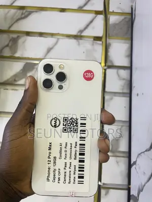 Apple iPhone 12 Pro Max 128 GB Silver