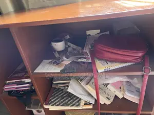 Storage Cabinet Cupboard Shelf