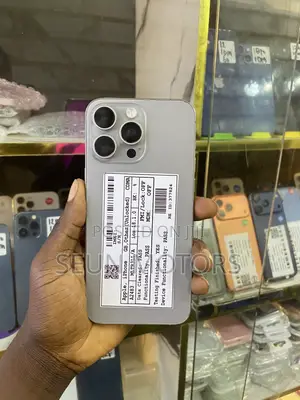 Apple iPhone 15 Pro Max 256 GB Silver