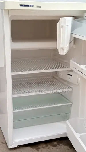 Liebherr Economy Single Door Refrigerator