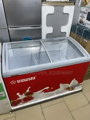 Ice Cream Freezer