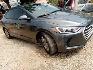 Hyundai Elantra ECO Sedan FWD (1.4L 4cyl 7A) 2017 Gray