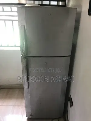 Double Door LG Refrigerator