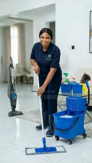 Total Cleaning and Fumigation Services in FCT Abuja