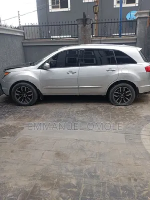 Acura MDX 2009 Gray