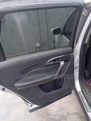 Acura MDX 2009 Gray