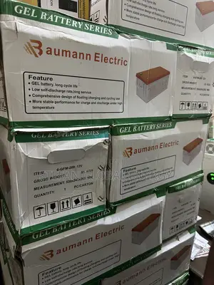 Buamann Electric 200Ah .12v Dry Cell Solar Bsttery