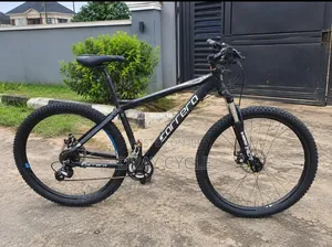 Foreign Used First Grade Bicycle