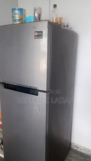 Samsung 253l Digital Inverter
