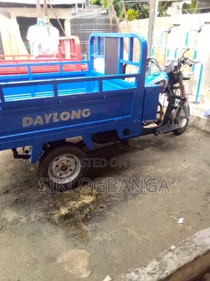 Daylong DL200-30 2010 Blue