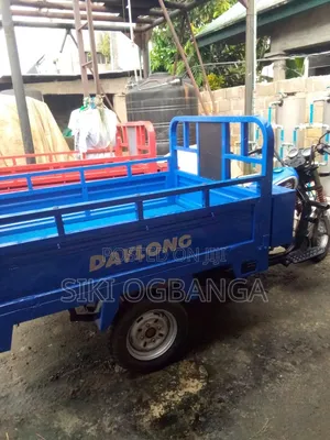 Daylong DL200-30 2010 Blue
