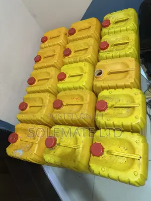 25 Liters Kegs (15)