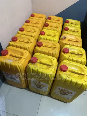 25 Liters Kegs (15)