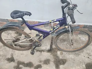 RALEIGH Dirt Bicycle