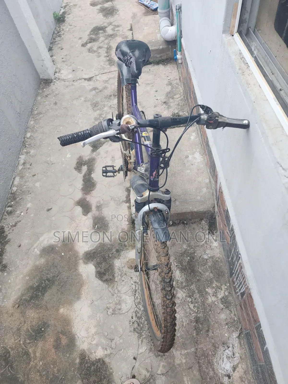 RALEIGH Dirt Bicycle