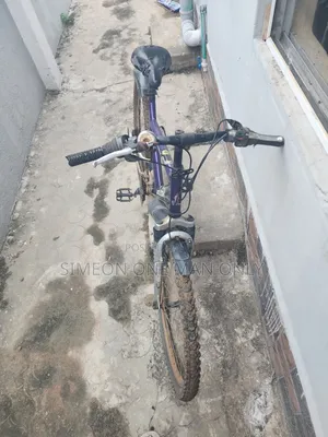 RALEIGH Dirt Bicycle