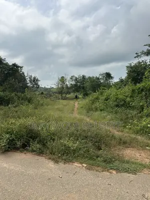 Affordable Land for Farming in Ogun State, Nigeria