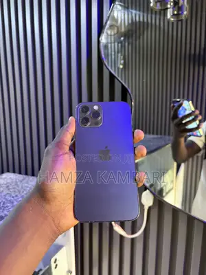 Apple iPhone 12 Pro Max 128 GB Black
