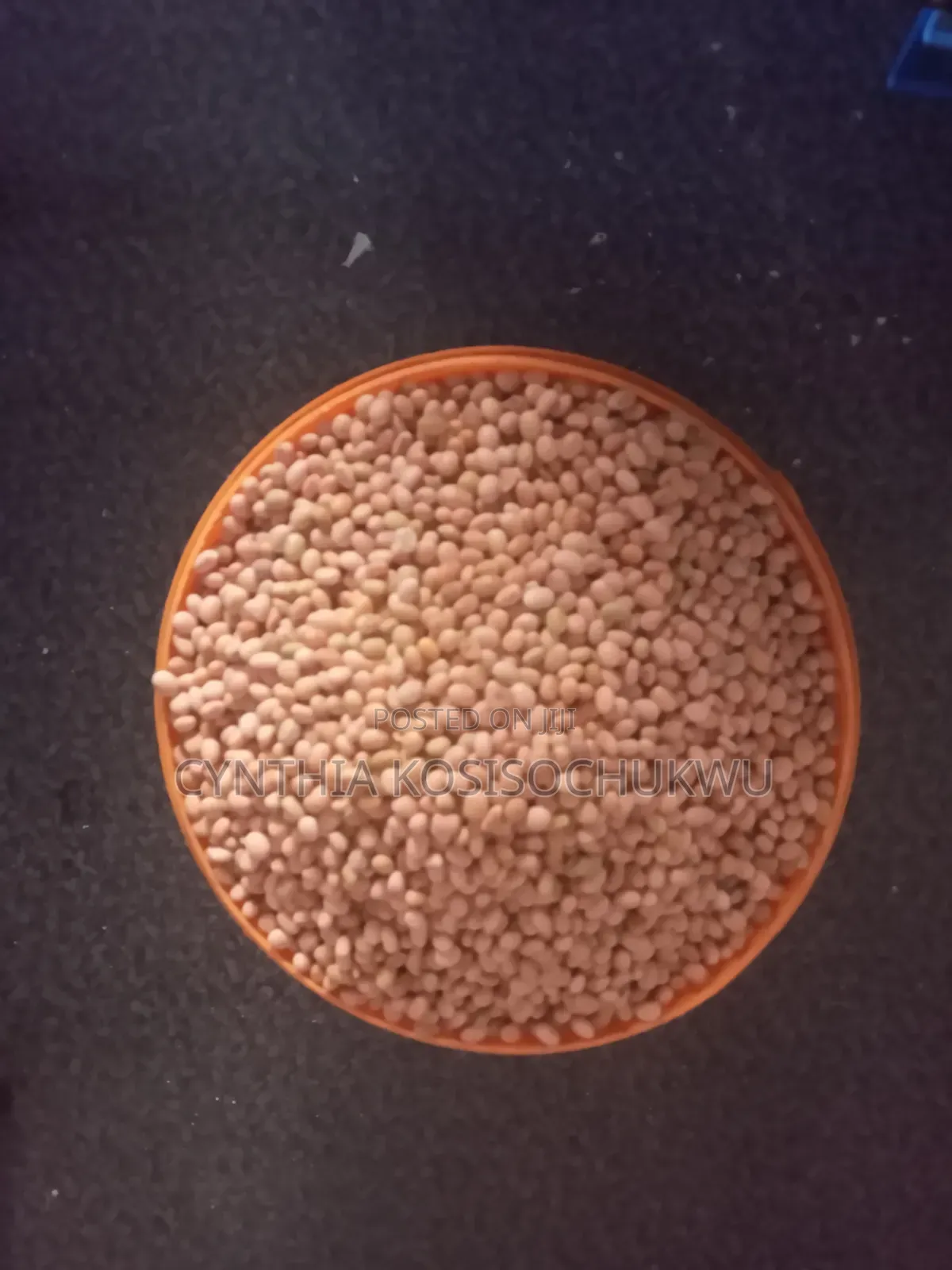 Soyabeans Powder