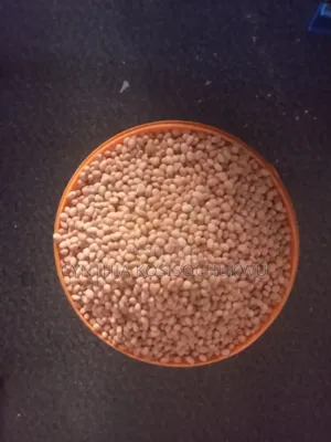Soyabeans Powder