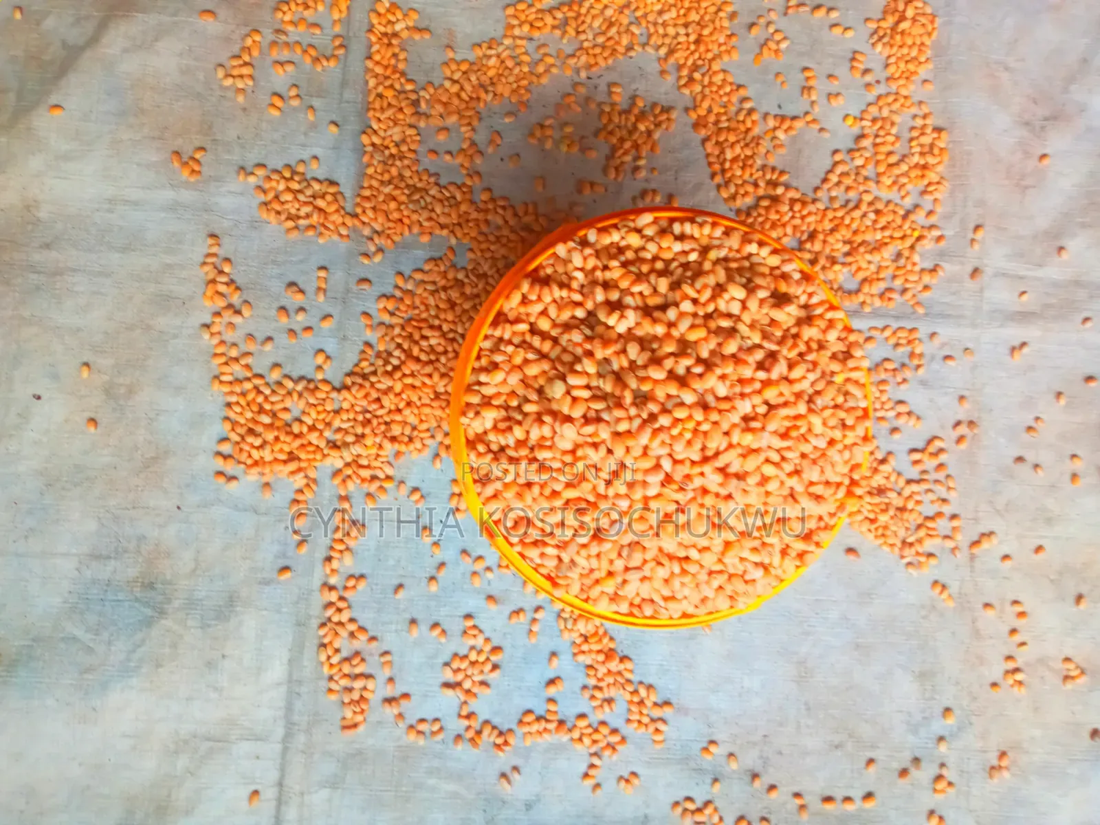 Soyabeans Powder