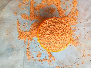 Soyabeans Powder