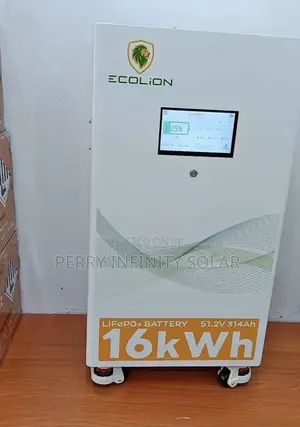 Ecolion 16kWh Lithium Battery 51.2V 314Ah LiFePO4