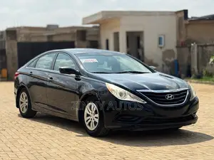 Hyundai Sonata 2013 Gray