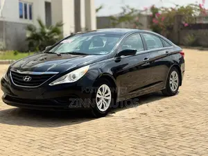 Hyundai Sonata 2013 Gray