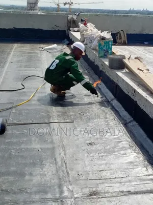 Logophile Roof Waterproofing Specialist