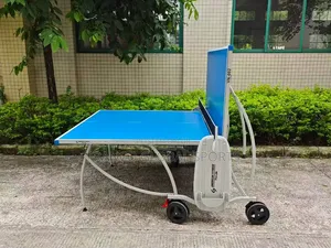 Outdoor Table Tennis Board