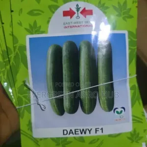 Daewy Cucumber Seed 10g