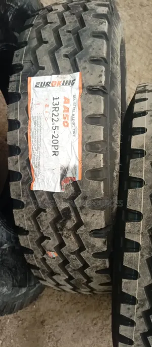 13r22.5 Euroking Aa50