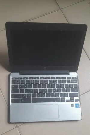 Laptop HP Chromebook 4GB Intel Pentium SSD 16 GB