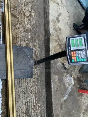 100kg Digital Scale