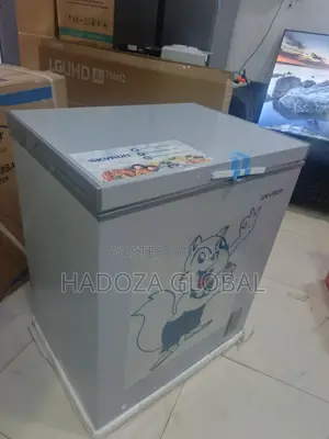 Skyrun 180AI: The Ultimate Low-Wattage Inverter Chest Freezer