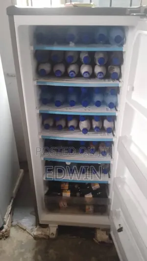 Standing Fridge