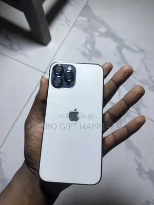 Apple iPhone 12 Pro Max 256 GB Blue