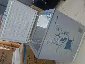 The Long-Lasting Skyrun 180AI Chest Freezer