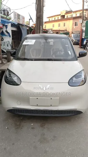 New Wuling Bingo 2024 White