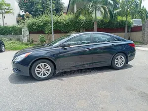 Hyundai Sonata 2011 Gray