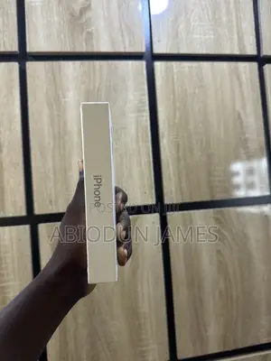 Apple iPhone 17 Pro 256 GB Silver