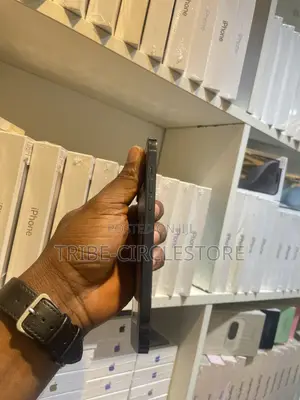 Apple iPhone 12 Pro Max 256 GB Blue