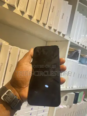 Apple iPhone 12 Pro Max 256 GB Blue