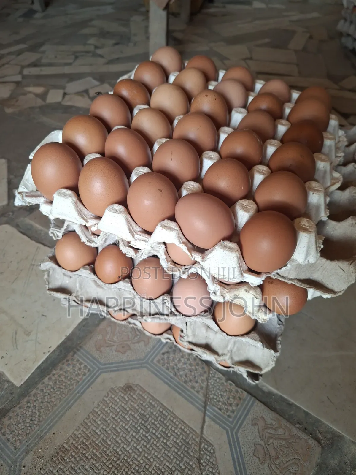 Egg Supply