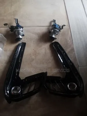 Fog Light and Casing Elantra 2016