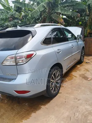 Lexus RX 2010 Silver
