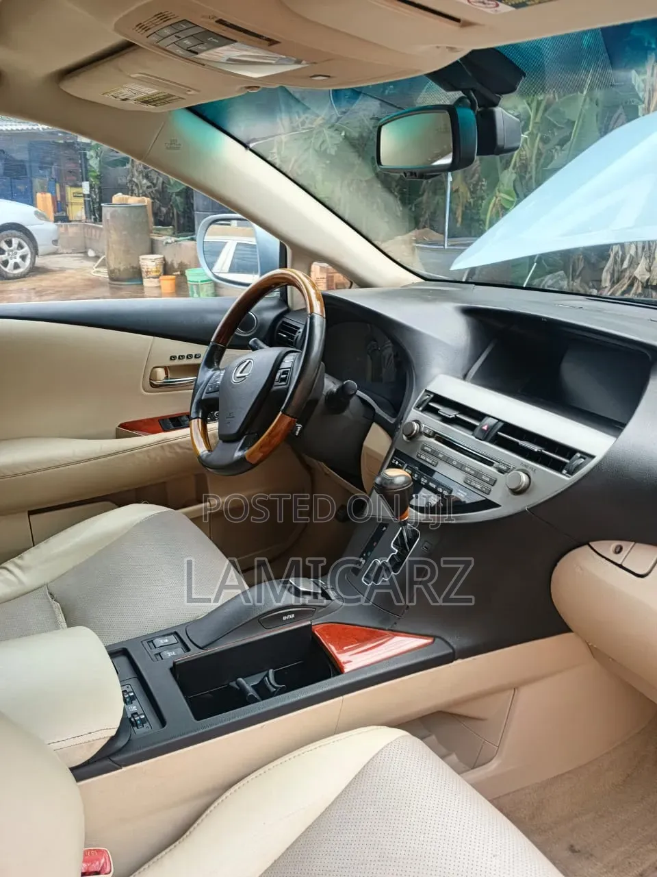 Lexus RX 2010 Silver
